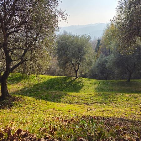 B&B Ca'Baracca Bellavista Bassano del Grappa Ngoại thất bức ảnh