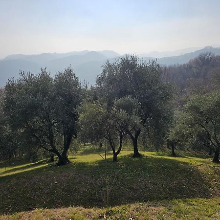 B&B Ca'Baracca Bellavista Bassano del Grappa Ngoại thất bức ảnh
