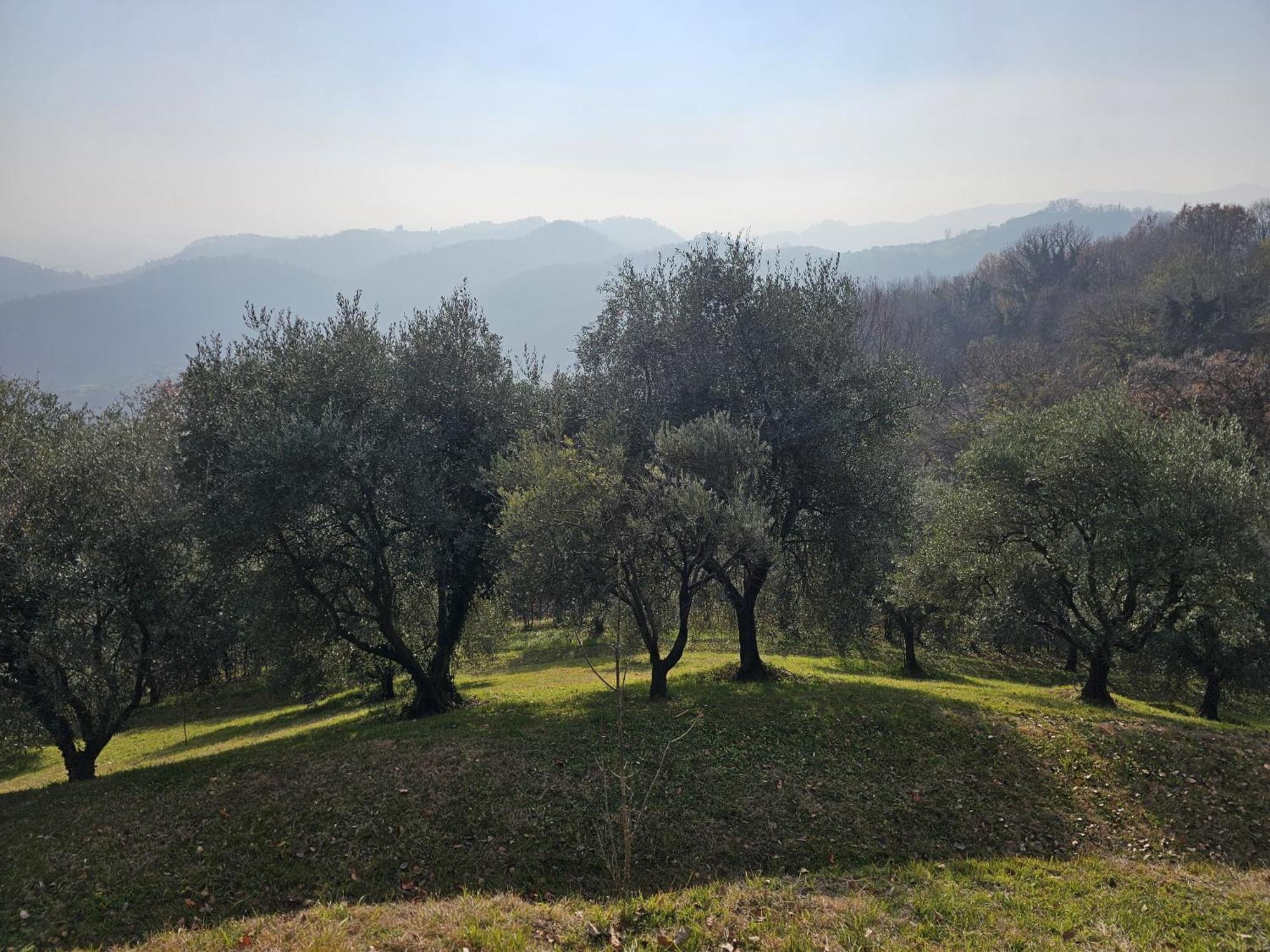 B&B Ca'Baracca Bellavista Bassano del Grappa Ngoại thất bức ảnh